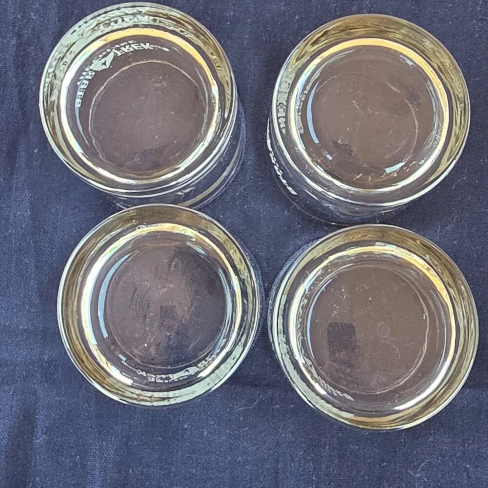 Star Trek The Cruise Etched Rocks Glasses Set of 4 Official Collector Barware